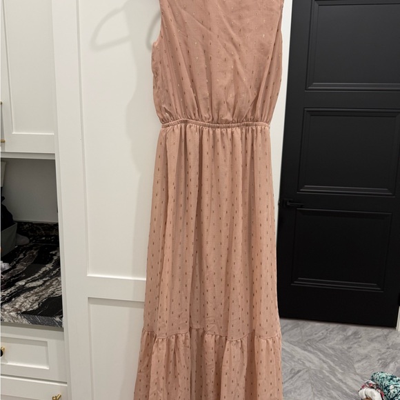 Express Blush Ruffled Maxi Dress - Picture 3 of 4